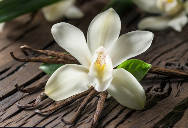 Very Vanilla Snap Bar